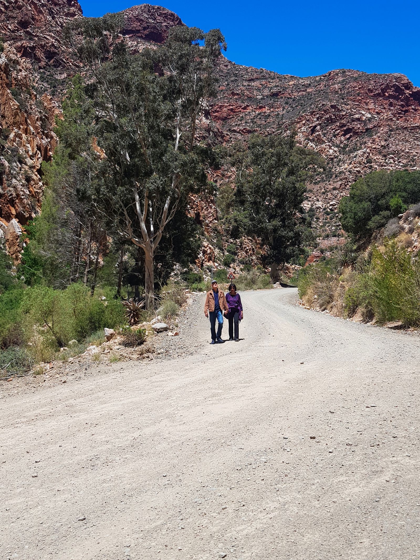 Private Full Day Tour Swartberg Pass 5